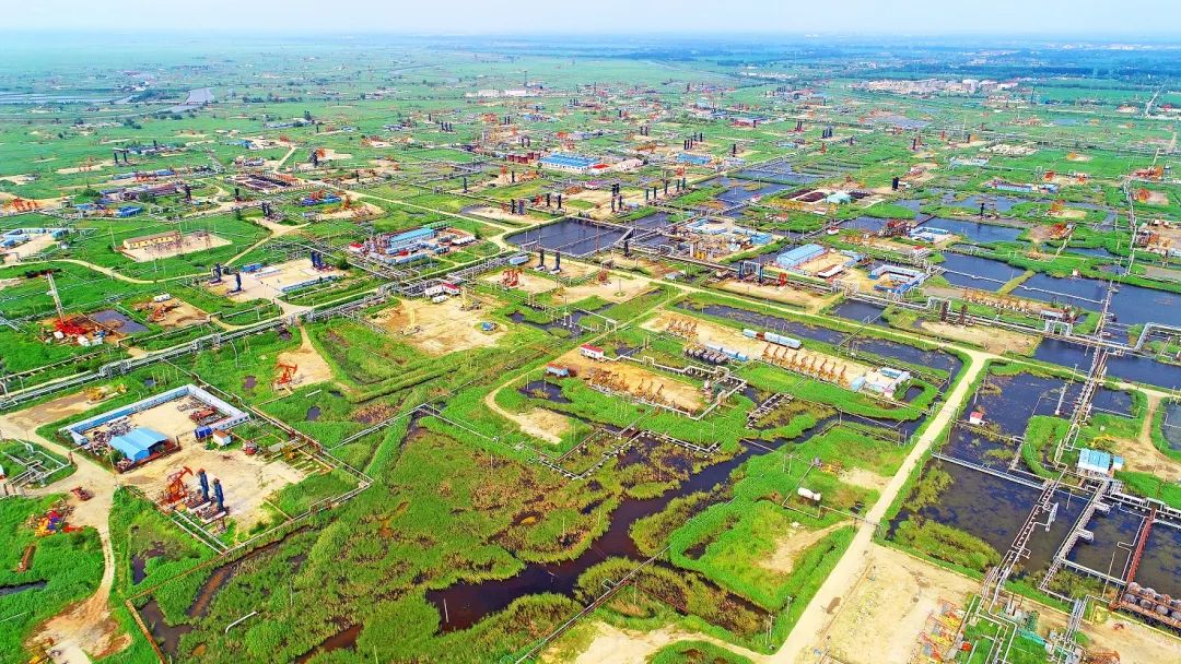 位于繞陽河畔的遼河油田杜84塊稠油生產現場。 陳允長 攝.jpg