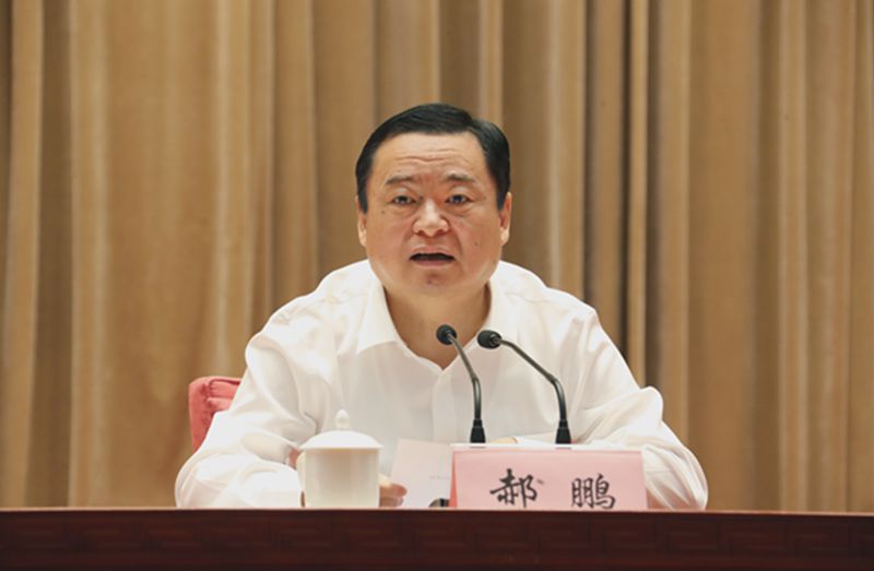 郝鵬、國資、央企、國資委、書記、主任、國企、企業(yè)改革