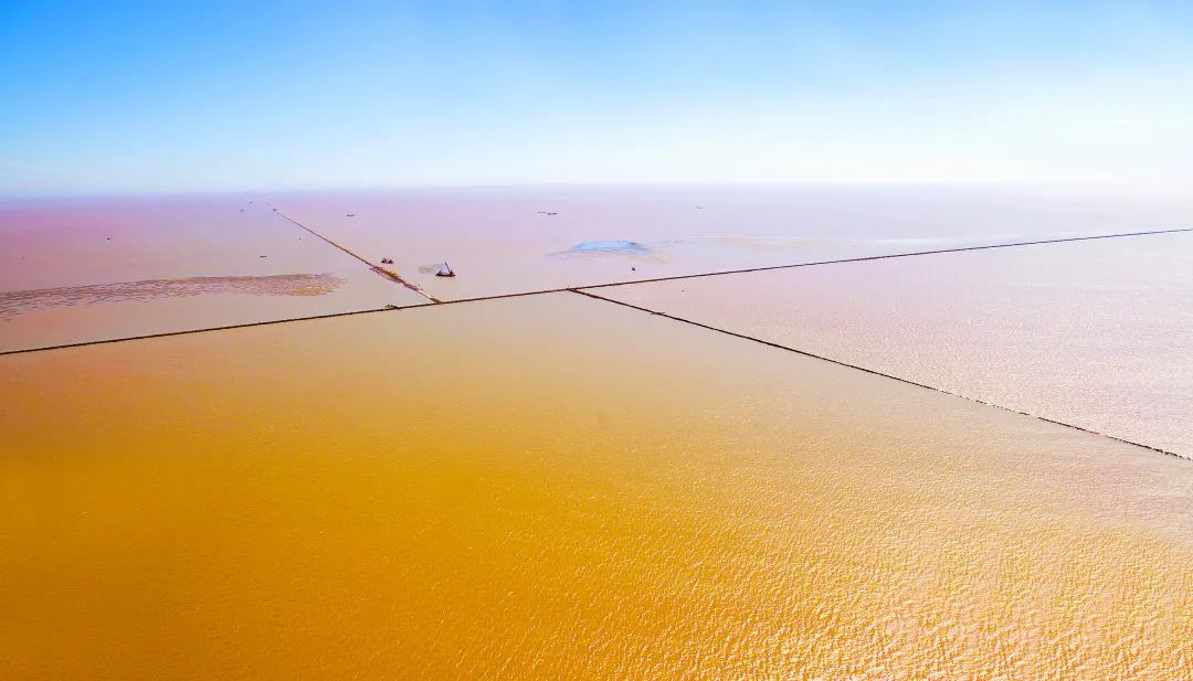 張玉卓、國(guó)資、央企、國(guó)資委、書記、主任、國(guó)企、企業(yè)改革