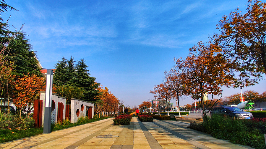 近日，由中國鐵建重慶投資集團生態公司承建的青島平度市城市居住品質提升項目多個“口袋公園”投入使用。圖為平度市”口袋公園“梅園。（師華鵬 攝）