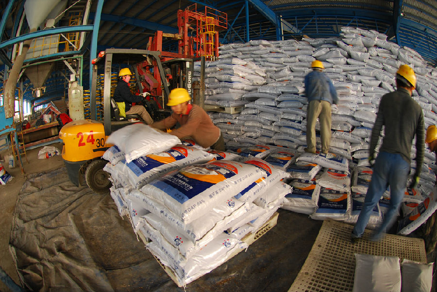 中?；瘜W大峪口公司早在春節期間發運化肥1.61萬噸，克服了鐵路運輸壓力大等困難，每天保證磷復肥2500噸的發運量。此時，黑龍江鶴崗還停留在寒冷中，為了最大限度提高鐵路運力，華鶴公司3條鐵路線路同時裝車發運，單日裝運車皮達到33個，運送尿素1875噸。圖為大峪口公司二期站臺上，裝卸工和叉車工來回穿梭，將化肥碼上托盤，發往全國各地。