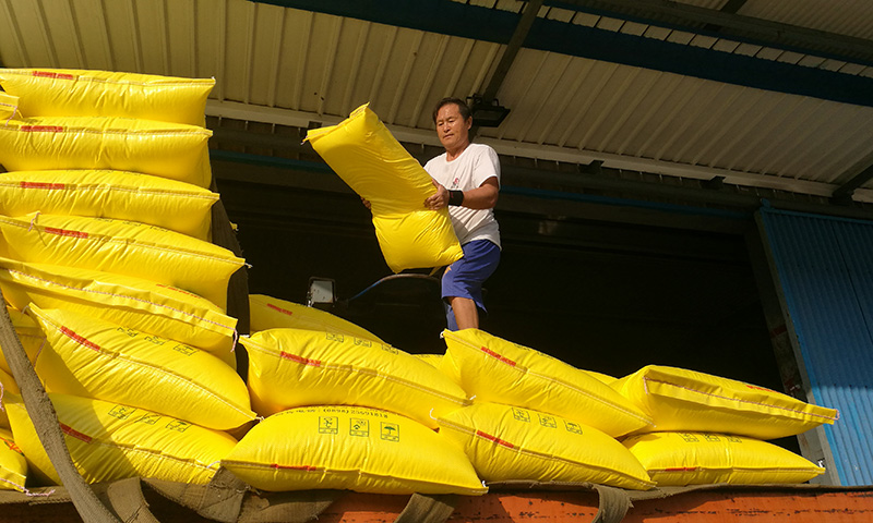 近日，海南東方，使用了中國海油中海化學生產(chǎn)的“富島”牌肥料后，龍須菜種植戶喜獲豐收，目前正在采摘上市。圖為中海化學富島公司積極組織發(fā)運，保障化肥市場供應。