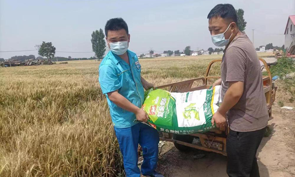 中國石油河北銷售邯鄲分公司積極開展化肥銷售工作，為農(nóng)戶提供“一站式”保供服務(wù)，全天候送肥上門，為該地區(qū)夏收夏種提供堅實保障。圖為工作人員將夏種化肥送到用戶田間地頭。張秋穎 攝 