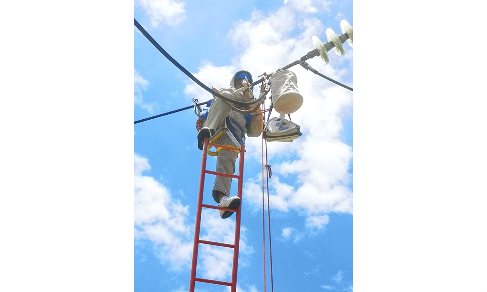 近日，廣東火電組建“迎峰保電”帶電作業突擊隊，對廣東電網重要輸電線路開展帶電檢修巡查工作，作業人員全副武裝，采用多項先進技術和設備開展帶電作業，保證電力設備安全穩定運行。
