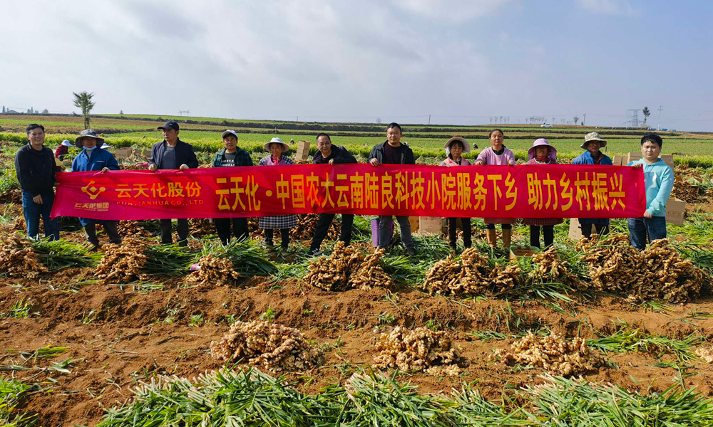 同時，云天化集團(tuán)線上線下相結(jié)合，組織技術(shù)專家開展春季栽培管理線上直播活動，云天化科技小院通過開辦田間講堂、觀摩學(xué)習(xí)等方式，指導(dǎo)科學(xué)種植、科學(xué)用肥，幫助解決農(nóng)業(yè)生產(chǎn)實(shí)際問題，不斷提高用戶種植水平，用實(shí)際行動服務(wù)三農(nóng)，助力豐收。
