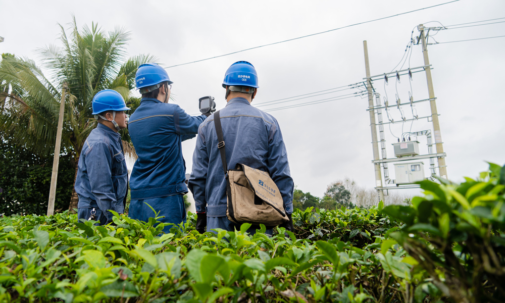 近日，南方電網海南白沙供電局組織專人對供電區域茶廠周圍的用電線路、設備進行特巡特維。余盛本 攝