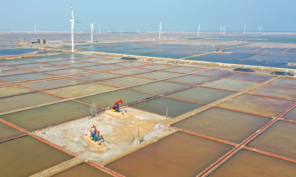 勝利油田五號樁區塊與周邊鹽田形成一幅和諧優美的生態畫卷。