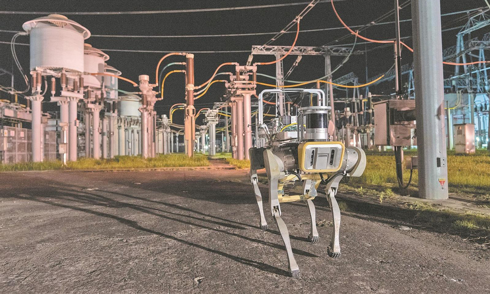 近日，國家電網(wǎng)江蘇南京供電公司運(yùn)用智能變電站自動(dòng)巡檢機(jī)器人對(duì)500千伏東善橋變電站開展夜間巡檢。