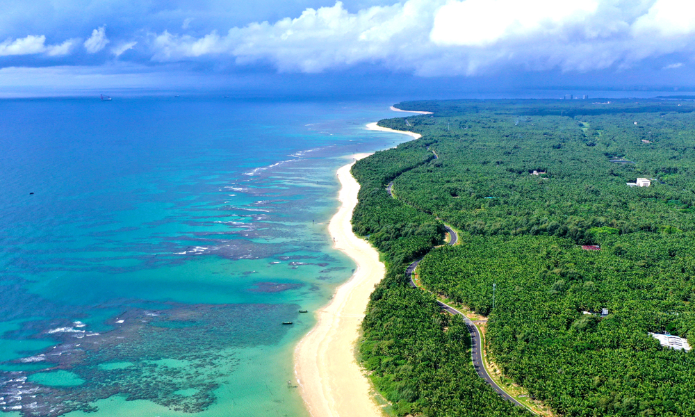 在穿越昌化江、珠碧江、海尾濕地公園等生態(tài)保護(hù)重點(diǎn)管控區(qū)時(shí)，為最大限度減少施工對(duì)濕地鳥(niǎo)類(lèi)及自然環(huán)境的影響，項(xiàng)目團(tuán)隊(duì)禁止工程車(chē)輛鳴笛，并根據(jù)鳥(niǎo)類(lèi)活動(dòng)規(guī)律，禁止早晚和中午進(jìn)行高噪聲施工；為避免污染物排放，大橋樁基施工采用泥沙分離器，縮短了樁基施工的清孔時(shí)間，極大提高了廢棄泥漿重復(fù)利用率，減少了廢棄泥漿外運(yùn)量。圖為海南環(huán)島旅游公路文昌段東郊椰林。