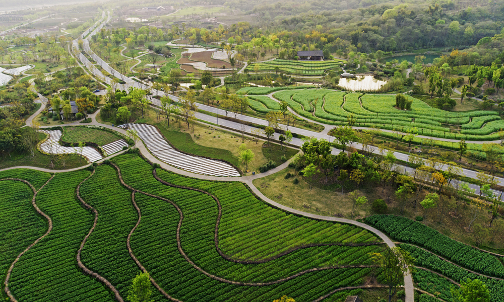 項目按山地、平壩、坡岸系統開展全島生態保護修復和消落帶治理，建設配套的生態設施、綠色建筑、配套設施，新建高峰山連接道西段道路，推進裸露地生態化整治，進一步聚焦生態、聚焦風景，對全島生態修復進行完善提升，突出應用場景，展示生態文明和綠色發展示范。