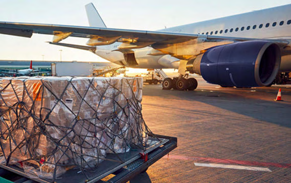 新春佳節(jié)之際，一場(chǎng)意義非凡的 “重逢” 正在悄然上演。中遠(yuǎn)海運(yùn)會(huì)展公司助力 1503 件流失海外的文物踏上歸鄉(xiāng)之路。這批文物歸鄉(xiāng)之路環(huán)節(jié)眾多、流程復(fù)雜，會(huì)展公司量身定制專(zhuān)業(yè)包裝方案，選派經(jīng)驗(yàn)豐富的海外操作人員同海關(guān)緊密配合，實(shí)現(xiàn)境內(nèi)外4小時(shí)內(nèi)迅速通關(guān)，將對(duì)珍貴文物的敬意與呵護(hù)融入每一個(gè)細(xì)節(jié)，確保文物歸家的每一步都堅(jiān)實(shí)而可靠。