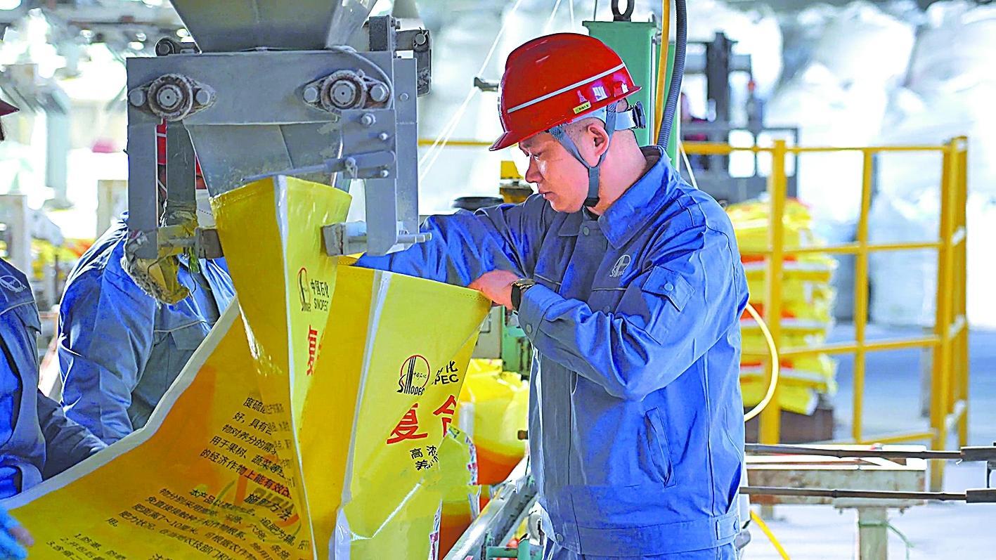 南化永大公司嚴抓紅三角牌復合肥生產，通過優(yōu)化生產工藝、加強質量檢測、嚴格倉儲管理等措施，確保每一袋產品都是高標準。圖為工作人員抽樣檢測產品質量。