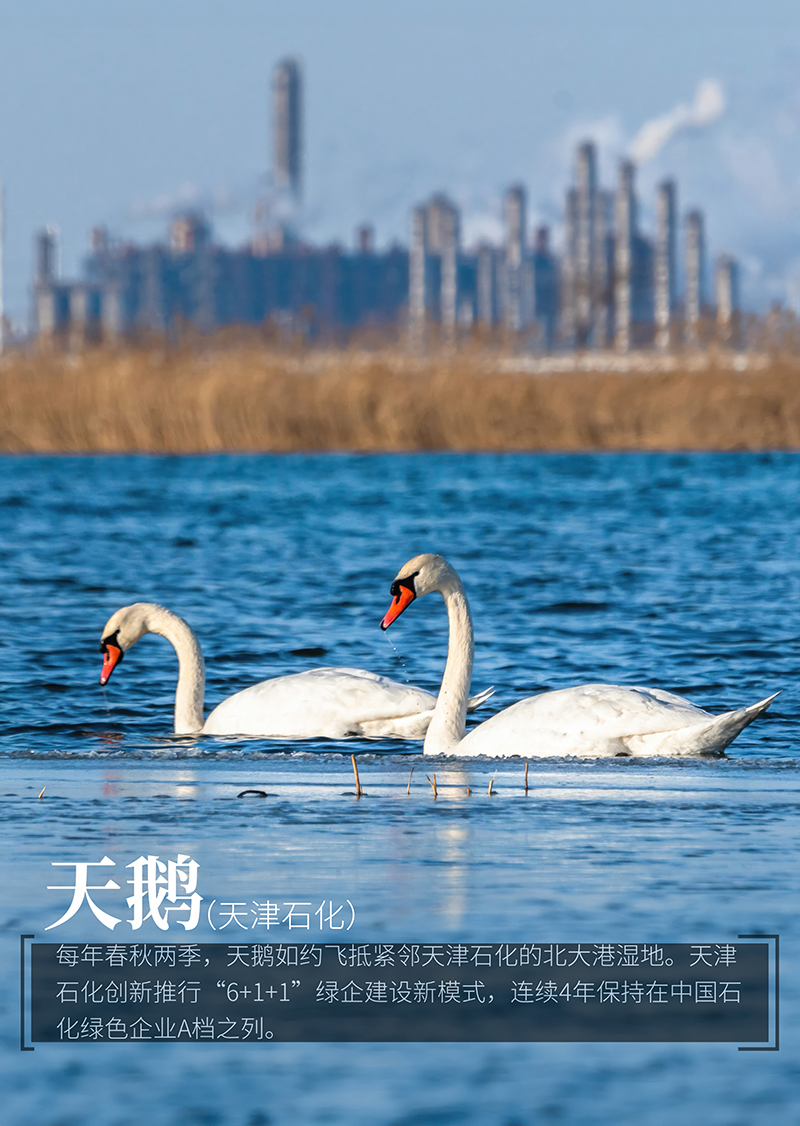 微信圖片_20240531093144.jpg 微信圖片_20240531093144.jpg