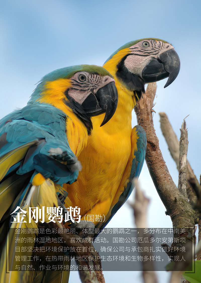 微信圖片_20240531093159.jpg 微信圖片_20240531093159.jpg