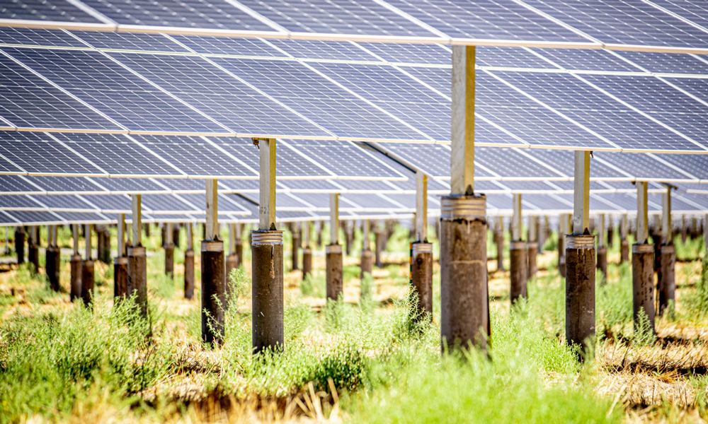 光伏組件采用雙面雙玻，利用光的反射最大限度增加發電量。為達到良好的治沙效果、滿足生態治理需求，建設者將光伏組件中心點提升至距離地面3米，為地表治沙、植被生長和養殖產業發展留足空間。