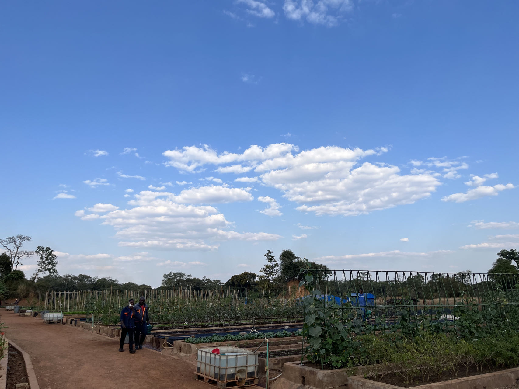 微信圖片_20230928153128.jpg 微信圖片_20230928153128.jpg